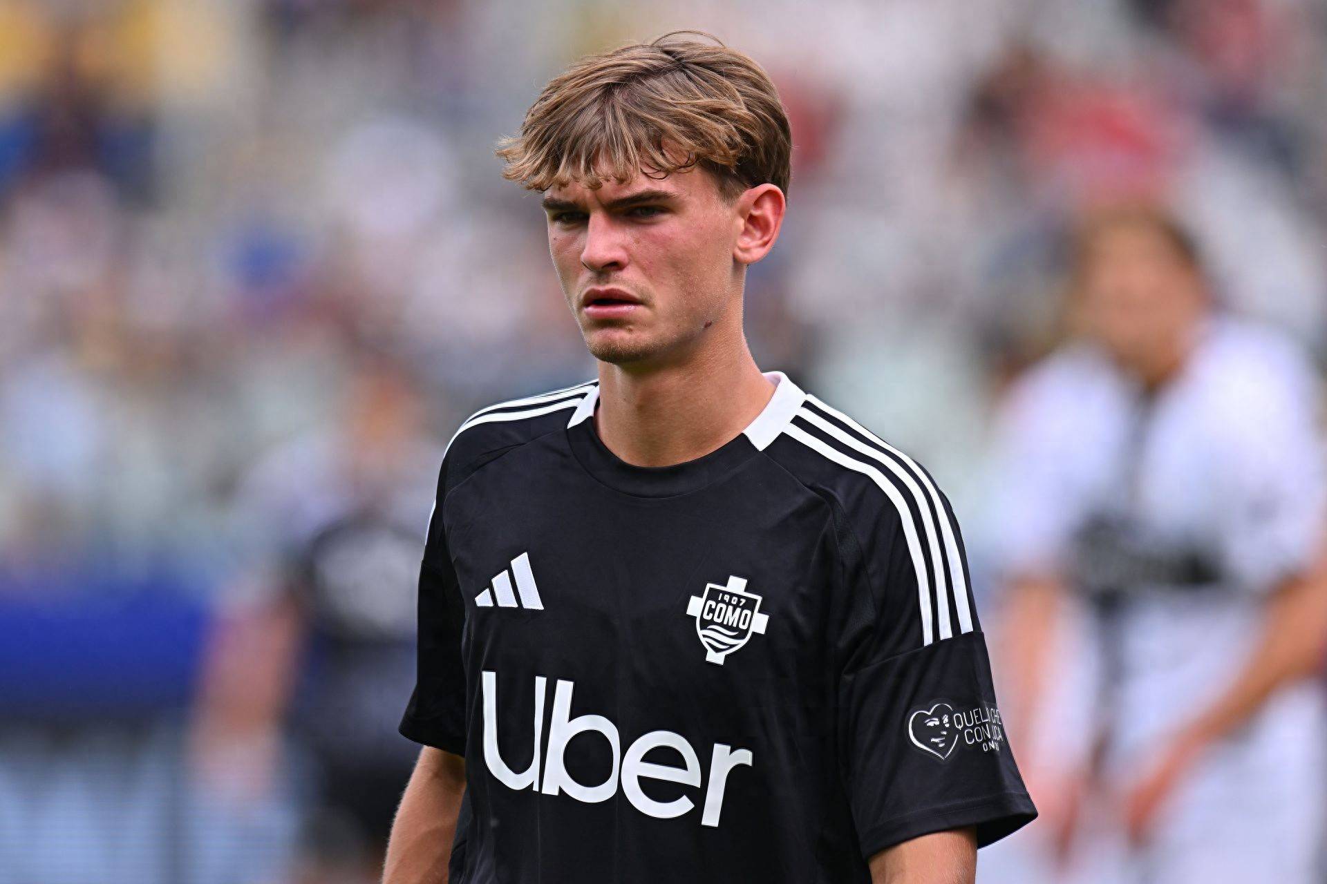 再次证明了 再次证明了